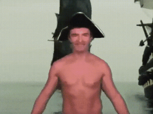 New Pirate GIF