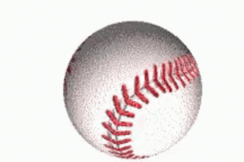 New York Yankees Baseball GIF