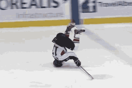 Nhl GIF