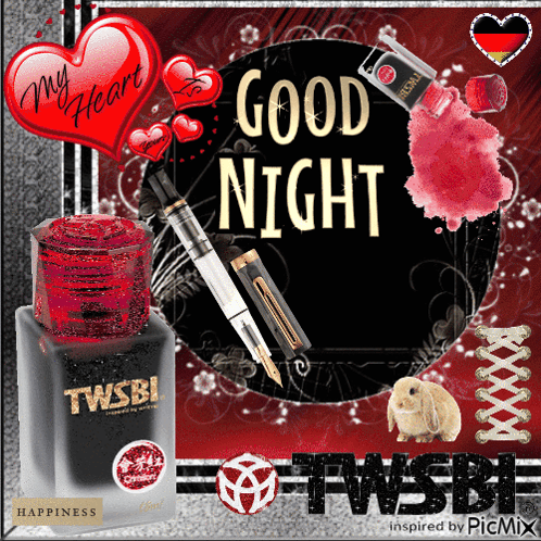 Niche Goodnights Twsbi GIF