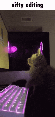 Nifty Youtube GIF