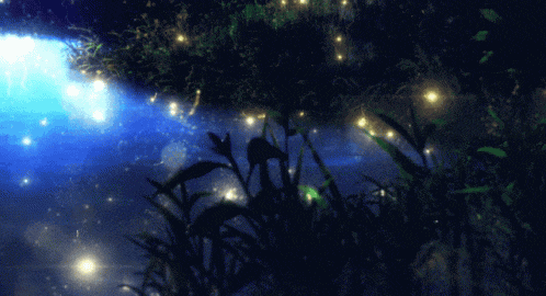 Night Light GIF