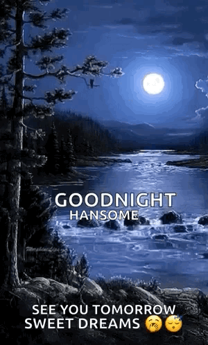 Night Moon GIF