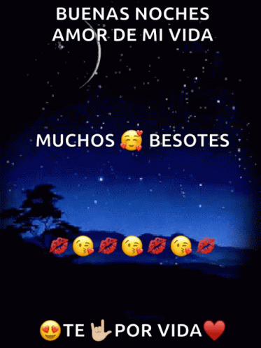 Night Moon GIF