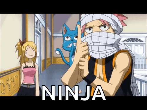 Nin Nin Natsu GIF
