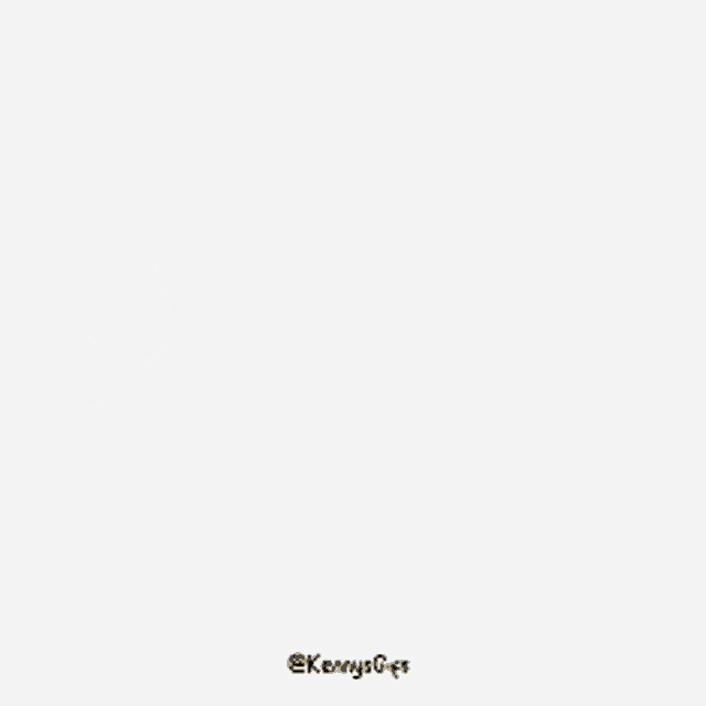 Ninja Duck GIF