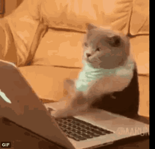 Ninja Ninja Protocol GIF