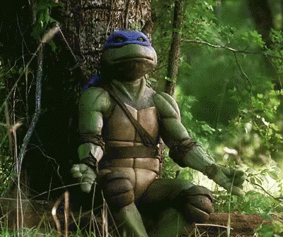 Ninja Turtles Meditate GIF