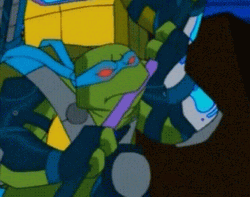 Ninja Turtles Tmnt GIF