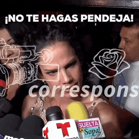 Niurka Pendeja GIF