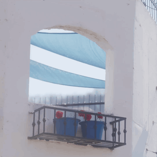 Niziu Mako GIF