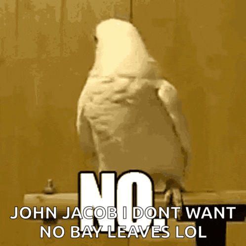 No GIF