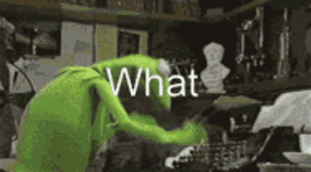 No GIF
