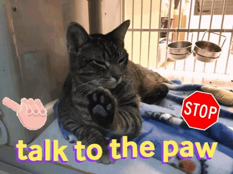 No Talk To The Hand GIF