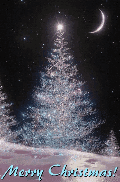 Noel GIF