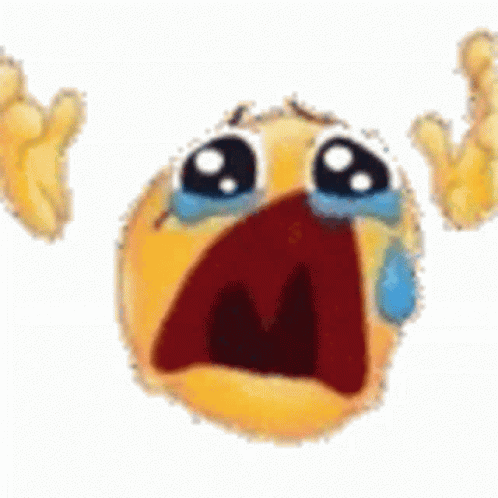 Noo GIF
