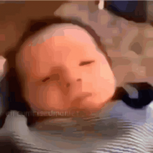 Noo GIF
