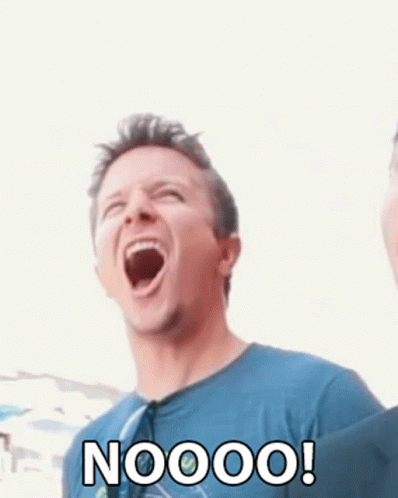 Nooo Scream GIF