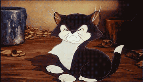 Nope Cat GIF
