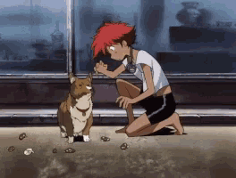 Nope Dog GIF