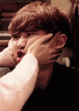 Nosewex GIF