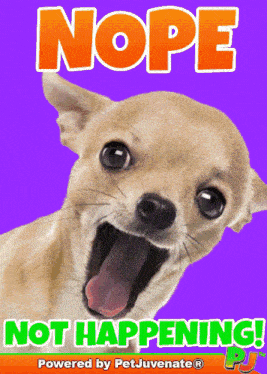 Not Happening Dide A Fur Baby Dog Mom Boop Bork Blep Boof And Hound Dog GIF
