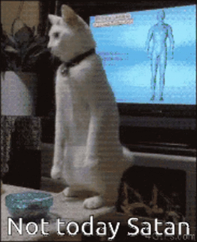 Not Today Satan Cat GIF