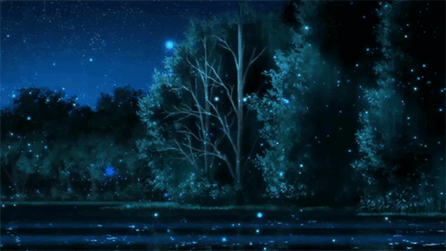Nuit étoilée GIF