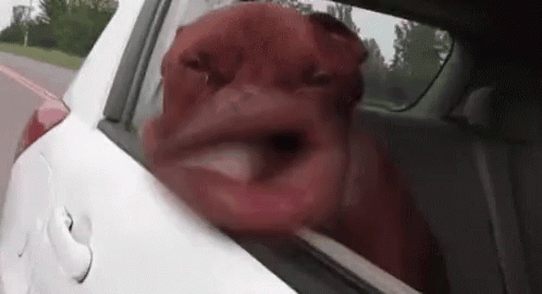 Nvr Get Worried GIF