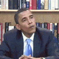 Obama Skeptical GIF