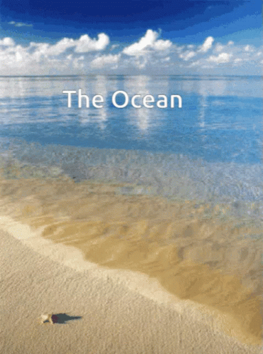 Ocean GIF