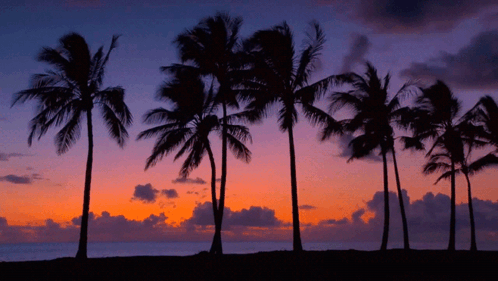 Ocean Sunset GIF