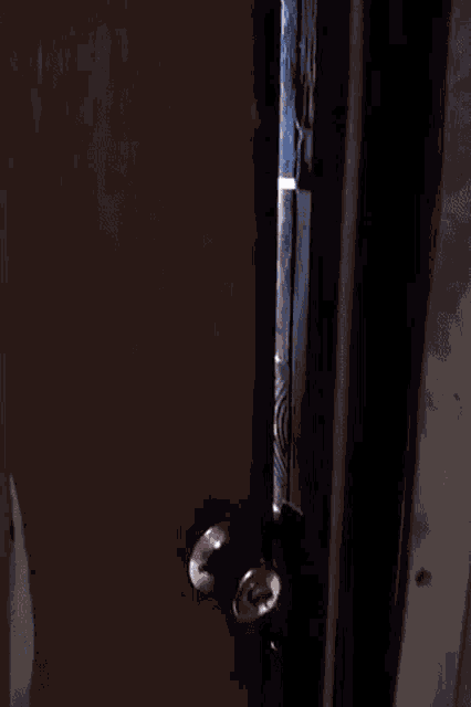 Oceanmam Horse GIF