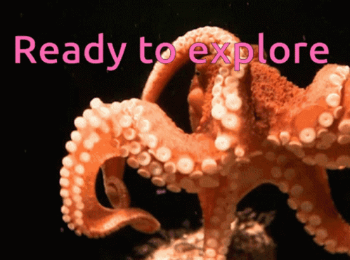 Octopus Curious GIF