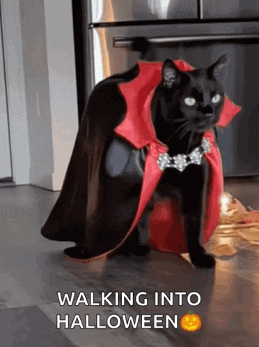 Oddkast Funny GIF