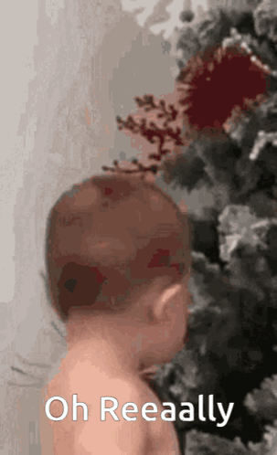 Oh Really Invictus GIF