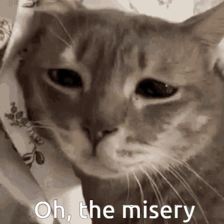 Oh-the-misery Sad-cat GIF