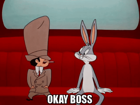 Okay Looney Tunes GIF