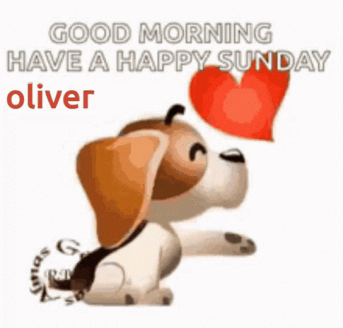 Oliver GIF