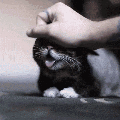 Omg What A Cutie Little Lovable Squirt! GIF