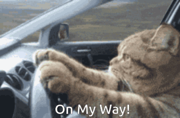 On My Way On The Way GIF