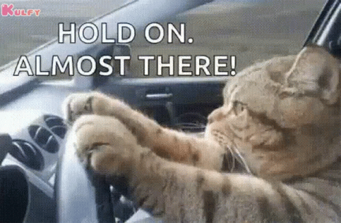 On The Way Cat GIF