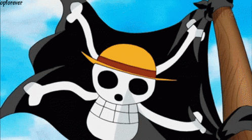 One Piece GIF