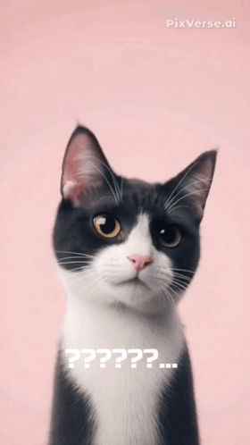 Onet001 GIF