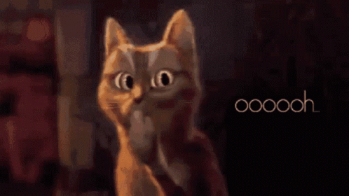 Ooh Cat GIF