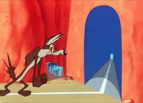 Oops Illusion GIF