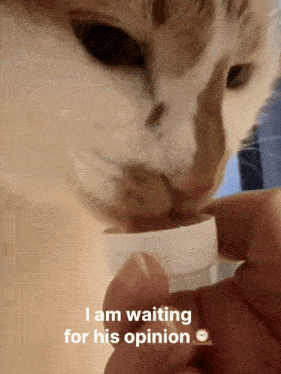Opinion Waiting For His Opinion GIF