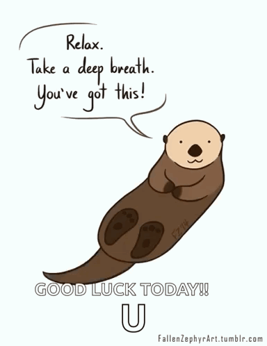 Otter Relax GIF