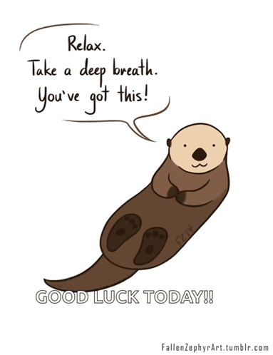 Otter Relax GIF