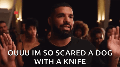 Ouuu Drake GIF